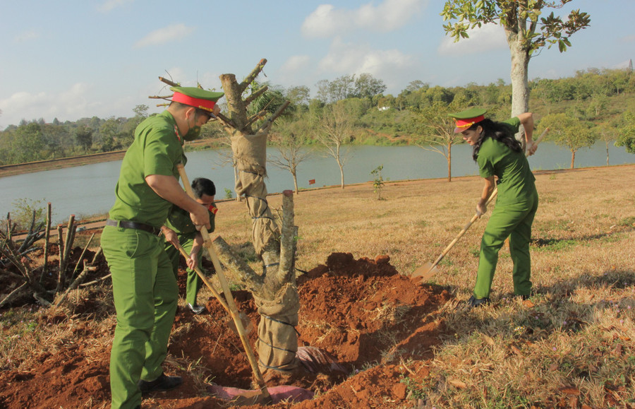 Lực lượng Công an thị xã Buôn Hồ tham gia trồng cây “Đời đời nhớ ơn Bác Hồ” năm 2023.