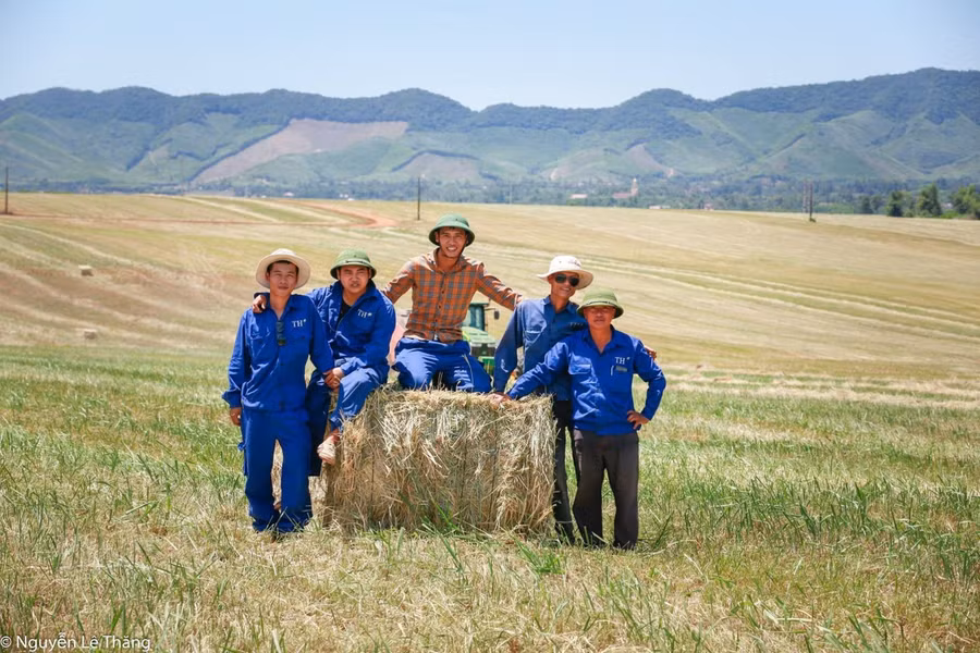 Người TH chia sẻ niềm vui lao động trên những cánh đồng cỏ rộng lớn, bên những bánh cỏ khô vừa đóng thành công.
