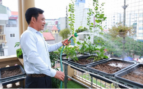 Cơ ngơi hàng chục tỷ của nghệ sĩ Quang Tèo và Giang Còi - Ảnh 8 Co ngoi hang chuc ty cua nghe si Quang Teo va Giang Coi - Anh 8