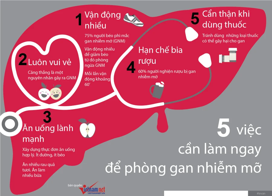 5 việc cần làm ngay để phòng gan nhiễm mỡ