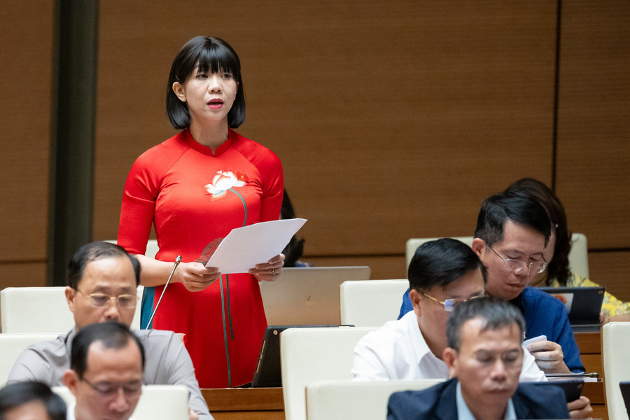 Đại biểu Trịnh Thị Tú Anh (Đoàn ĐBQH tỉnh Lâm Đồng). Đại biểu Trịnh Thị Tú Anh (Đoàn ĐBQH tỉnh Lâm Đồng).