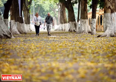 Ha Noi dep diu dang va tho mong trong khoanh khac giao mua - Anh 15