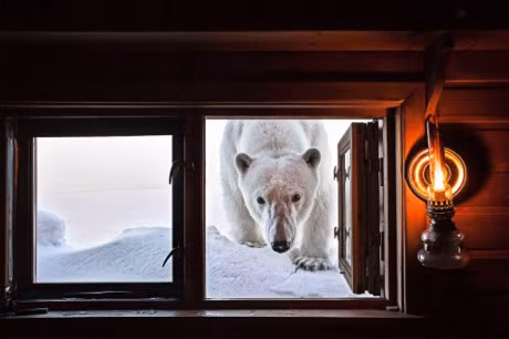 10 buc anh tuyet voi ve nhung vung dat bang gia vinh cuu - Anh 8