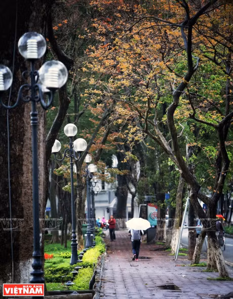 Ha Noi dep diu dang va tho mong trong khoanh khac giao mua - Anh 8