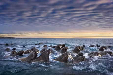 10 buc anh tuyet voi ve nhung vung dat bang gia vinh cuu - Anh 9