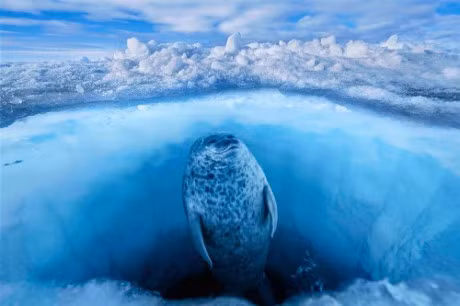 10 buc anh tuyet voi ve nhung vung dat bang gia vinh cuu - Anh 1
