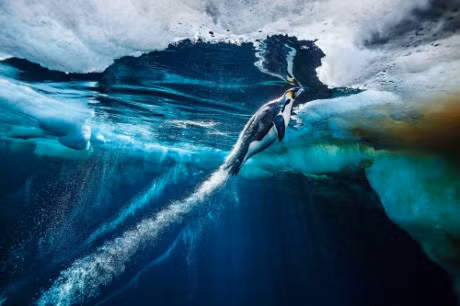 10 buc anh tuyet voi ve nhung vung dat bang gia vinh cuu - Anh 4