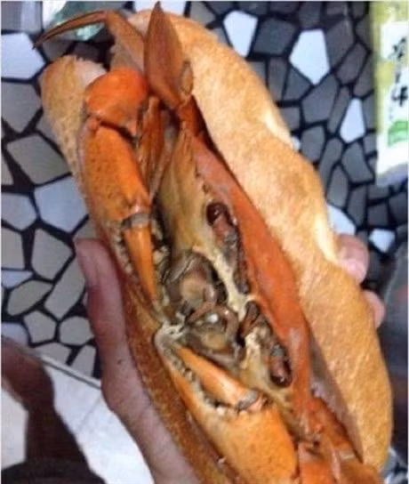 Nhung hinh anh hai huoc nhat trong ngay cua cac thanh do an - Anh 4