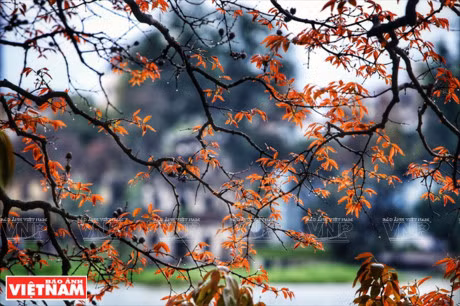 Ha Noi dep diu dang va tho mong trong khoanh khac giao mua - Anh 1