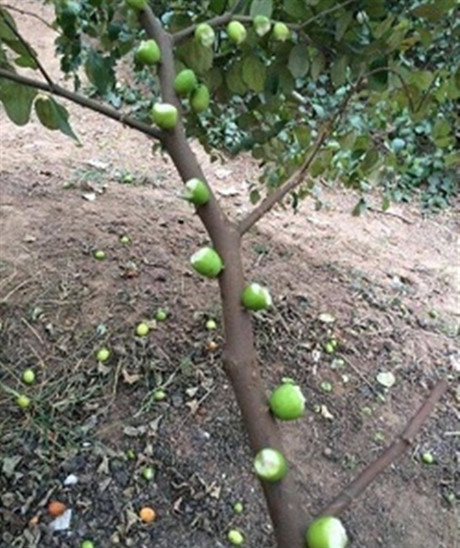 Những hình ảnh hài hước nhất trong ngày của các thánh đồ ăn - Ảnh 2 Nhung hinh anh hai huoc nhat trong ngay cua cac thanh do an - Anh 2