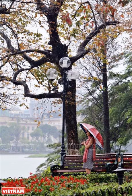 Ha Noi dep diu dang va tho mong trong khoanh khac giao mua - Anh 2