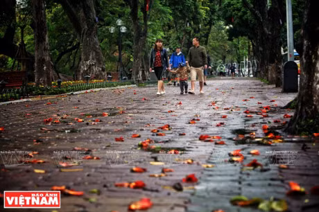 Ha Noi dep diu dang va tho mong trong khoanh khac giao mua - Anh 5
