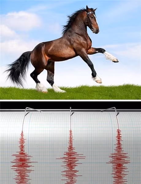 6 bi an khoa hoc den nay van chua co loi giai - Anh 6