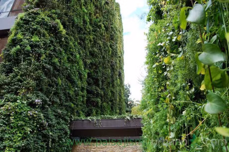 Toa nha phu day cay xanh an chua nhung dieu tuyet voi khien ai cung ao uoc so huu - Anh 7