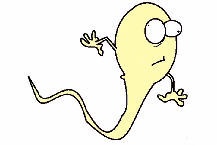 Đi ngủ lúc mấy giờ sẽ giúp tinh trùng khỏe mạnh hơn?