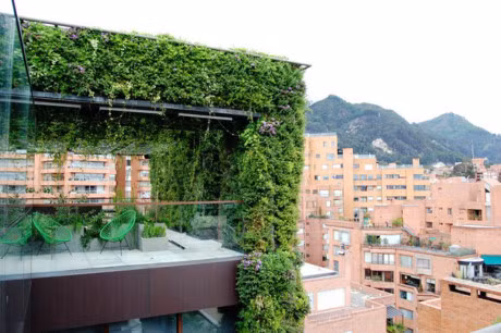 Toa nha phu day cay xanh an chua nhung dieu tuyet voi khien ai cung ao uoc so huu - Anh 3