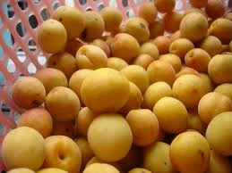 Trị bệnh đường hô hấp mùa lạnh