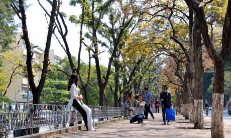 Gioi tre Ha thanh ron rang tao dang voi sac do bang lang - Anh 12