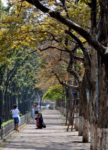 Gioi tre Ha thanh ron rang tao dang voi sac do bang lang - Anh 13