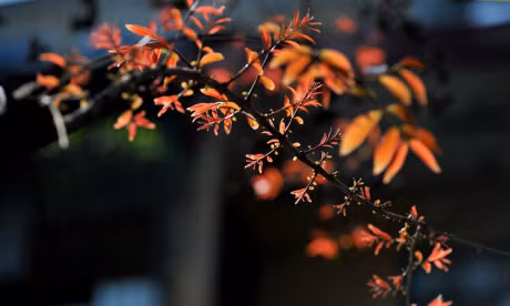 Gioi tre Ha thanh ron rang tao dang voi sac do bang lang - Anh 9