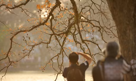 Gioi tre Ha thanh ron rang tao dang voi sac do bang lang - Anh 18