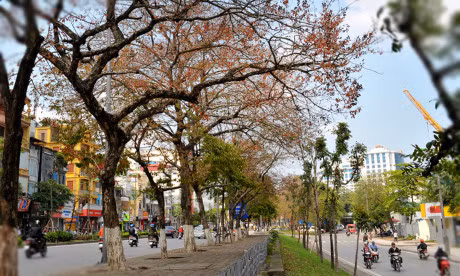 Gioi tre Ha thanh ron rang tao dang voi sac do bang lang - Anh 3