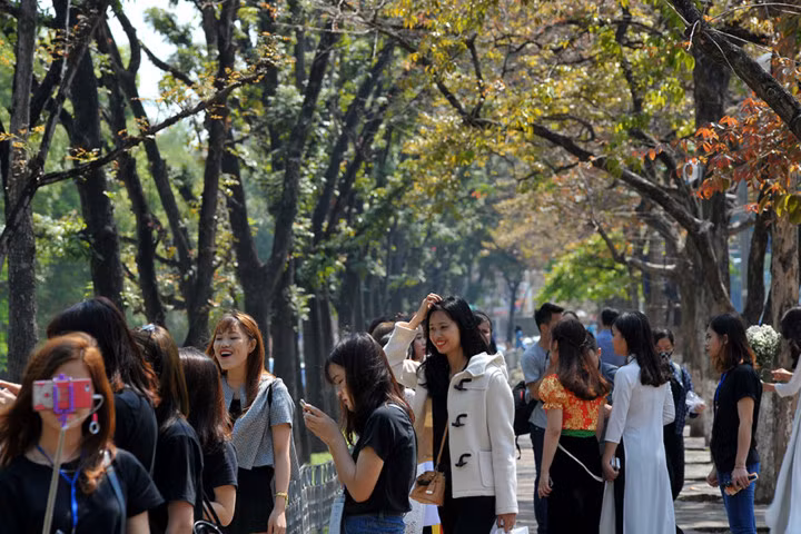 Giới trẻ Hà thành rộn ràng tạo dáng với sắc đỏ bằng lăng