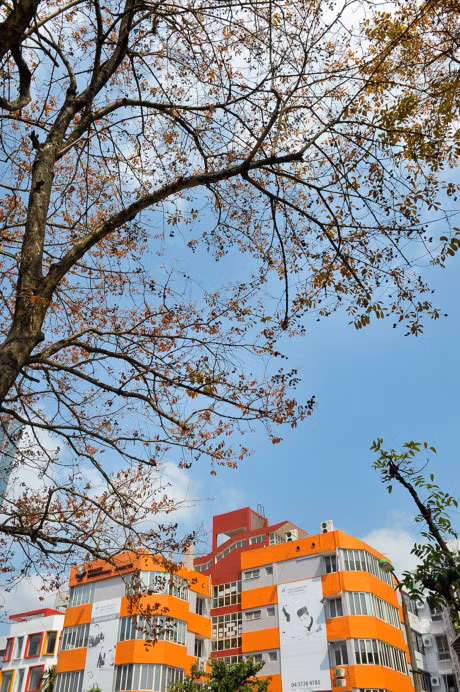 Gioi tre Ha thanh ron rang tao dang voi sac do bang lang - Anh 7