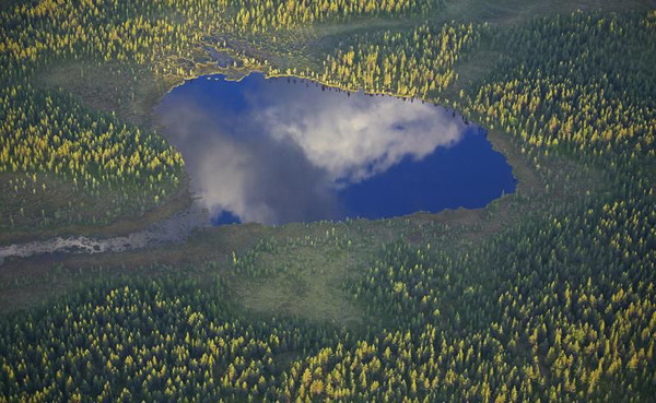 Dalarna, the central province of Sweden, is a popular vacation destination for the Swedes. A new record-breaking trees was discovered here in 2004 when Swedish researchers were carrying out a census of tree species. Most of the trees here are spruces which are the main raw material for Swedish papermaking industry. Bur the increasingly grim situation of global warming and the decrease of precipitation in the summer may cut down the amount of spruces