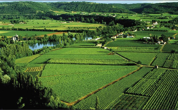 Cahors, the capital of the Lot department in south-western France, is famous for its wine industry which can be dated from the Roman Empire period. The vineyard area here has surpassed 10,000 acre (45 square kilometers). It’s know for all that the vines are extremely sensitive to the changes of climate. Even a slightest increase of temperature may mean doom to the wine industry here