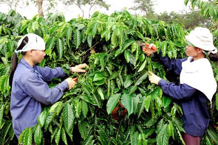 (Ảnh minh họa, internet) (Ảnh minh họa, internet)