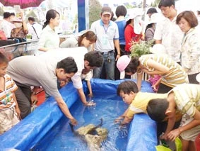 1 triệu lượt khách tham quan Festival Thủy sản Việt Nam 2010