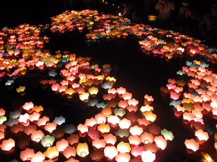 Đại lễ cầu siêu dự kiến sẽ có những hoạt động: Lễ thả hoa, tưởng niệm, cầu siêu cho các Liệt sĩ đã hy sinh tại Trường Sa; Lễ khánh thành chùa Việt Nam...(Ảnh minh hoạ, internet)