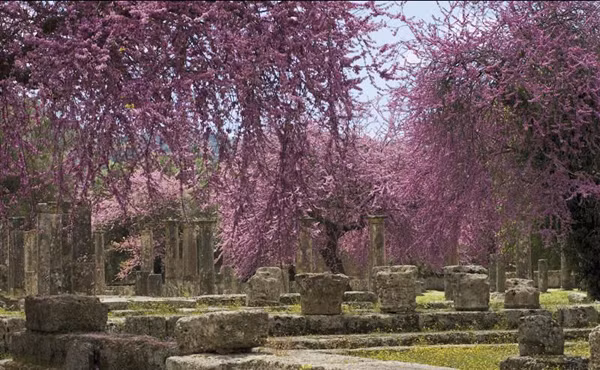 As the birthplace of Olympic Games, the Valley of Olympia is located on the Peloponnese Peninsula, south of Greek. In recent years, the extremely dry heat weather has resulted in a series of volcanic eruptions. In 2007, fire swept and severely damaged this area. Fortunately, all the relics remained intact.