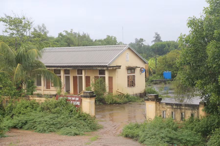 Trại giống thủy sản tại khu vực này hiện ngừng hoạt động. Trại giống thủy sản tại khu vực này hiện ngừng hoạt động.