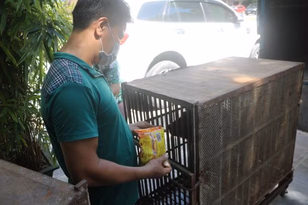 Nghệ sỹ xiếc gấu chia tay cô gấu Tiên.