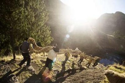 Andean men carry ropes made from a local grass to be used in the construction of the Qeswachaka hanging bridge