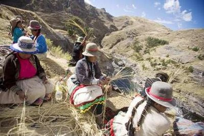 Andean women weave ropes with a local grass to be used in the construction of the Qeswachaka hanging bridge