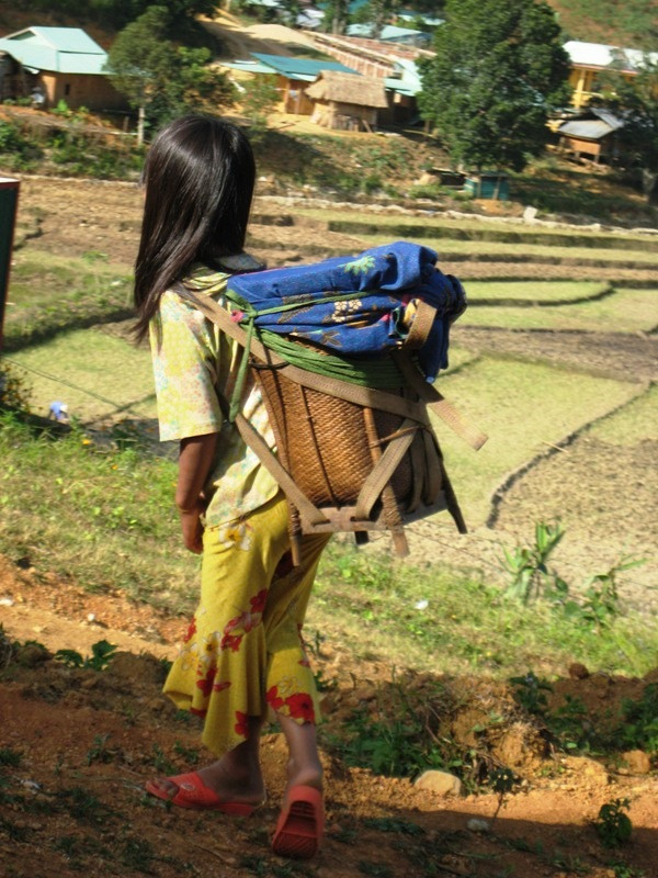 Bé CLâu thị Hái đang gồng mình gùi những gùi nặng nhọc sau lưng