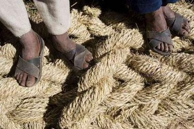 Andean men stand over rope made from a local grass to be used in the construction of the Qeswachaka hanging bridge,