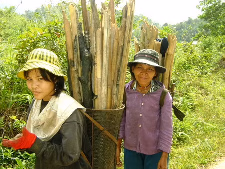 Gánh nặng "hồi môn" của phụ nữ CơTu