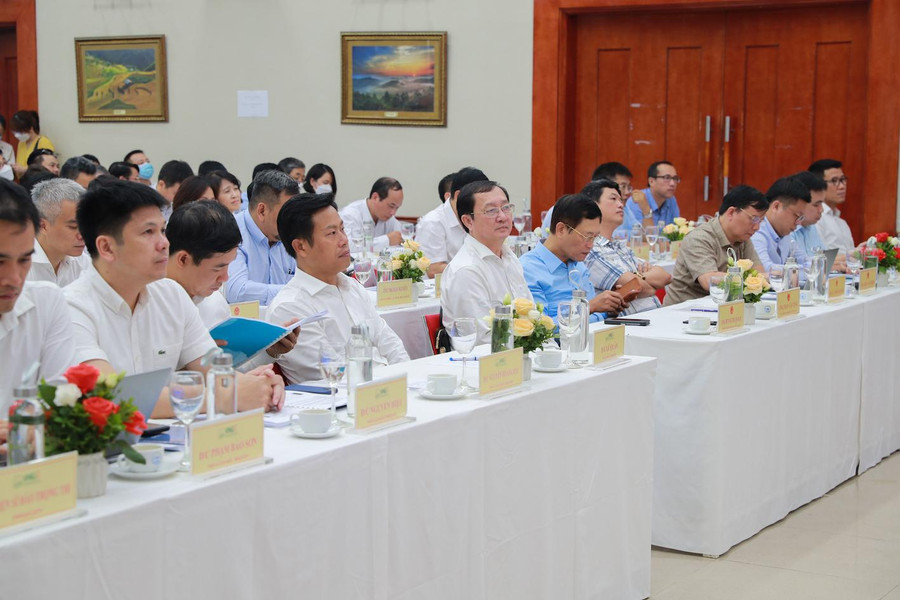 Các đại biểu tham dự Hội nghị