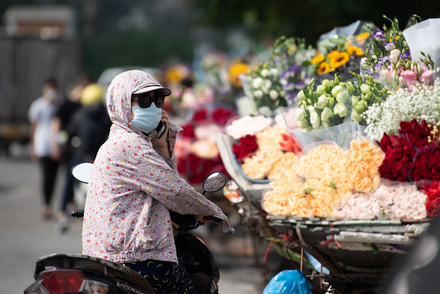 Do thị hiếu của khách hàng, nên rất nhiều loại hoa được tiểu thương nhập về.