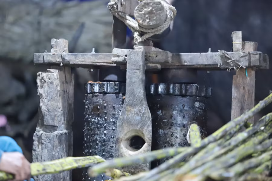 Thiết bị "kéo che" của gia đình anh Dũng là 2 chiếc trụ sắt cao khoảng 60 cm, đường kính 25 cm đặt cạnh nhau; một trụ có trục xoay, xung quanh nẹp cố định bằng gỗ. Anh Dũng dùng thanh gỗ dài 3 m nối với trụ có trục xoay và buộc vào cổ trâu. Khi trâu di chuyển vòng quanh, trụ sắt sẽ quay, cây mía được bỏ vào khe hở nhỏ của hai trụ sắt sẽ bị ép bẹp để lấy nước.