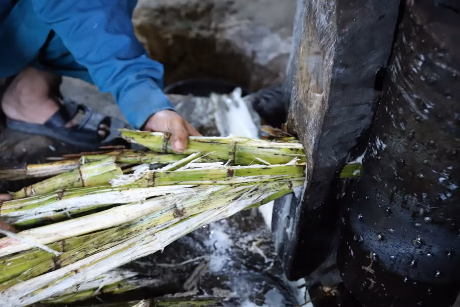 Trước khi đưa vào máy ép, mía sẽ được rửa sạch, đánh bớt vỏ và chặt ra từng khúc ngắn khoảng 50-60cm. Mía được ép nhiều lần để vắt kiệt nước, phần xác được phơi khô làm chất đốt.