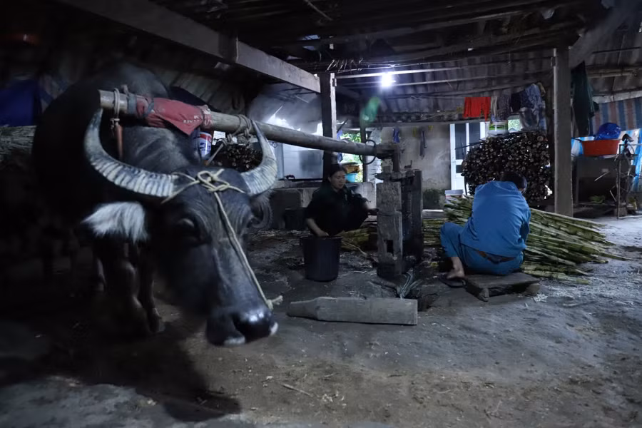 Nghề ép mật mía ở xã Thọ Điền có từ lâu, trải qua nhiều năm toàn xã hiện còn khoảng 100 hộ lưu giữ nghề truyền thống này. Ngày nay cùng với các phương tiện máy móc hiện đại, một số hộ dân vẫn có thói quen dùng trâu "kéo che" ép mật. Đây cũng là một công đoạn làm mật truyền thống của người Thọ Điền.