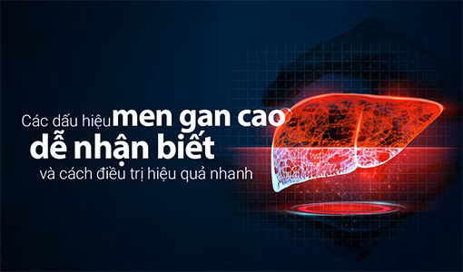 Dấu hiệu men gan cao nhận biết sớm để có cách điều trị