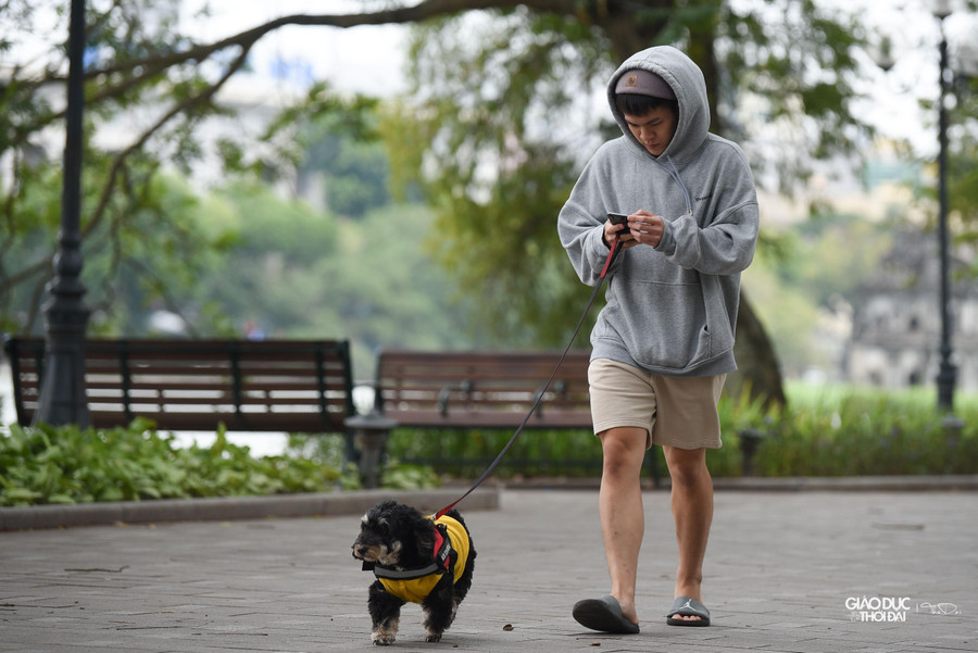 Những chú thú cưng cũng đã được chủ nhân mặc thêm áo. Những chú thú cưng cũng đã được chủ nhân mặc thêm áo.