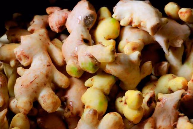 Gừng Huế có mùi thơm và độ cay ngon không nơi nào có được.