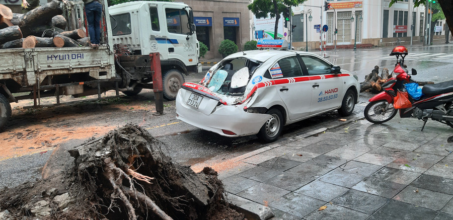 Cây sấu bật gốc, đè bẹp phần đuôi chiếc taxi đang đỗ cạnh đường.